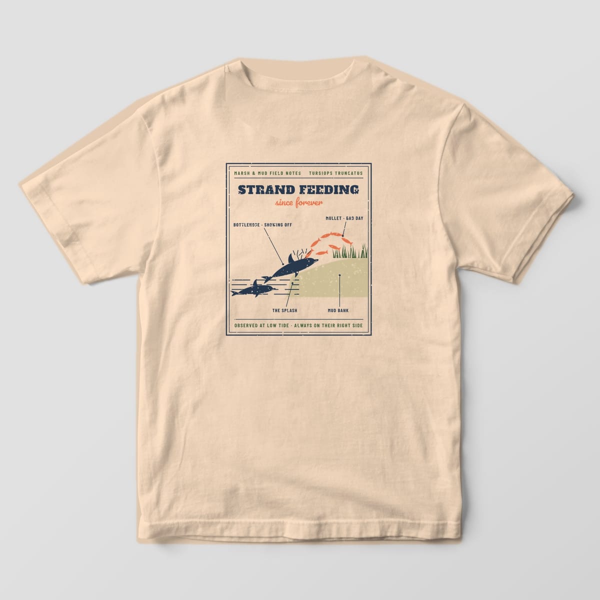 Back of an ivory Comfort Colors 1717 tee with a framed plate of dolphins chasing coral mullet onto a mud bank
