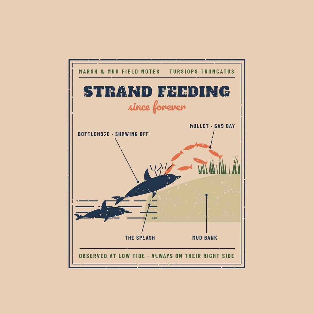 Close-up of the Strand Feeding print showing the dolphins, mullet and labeled callouts