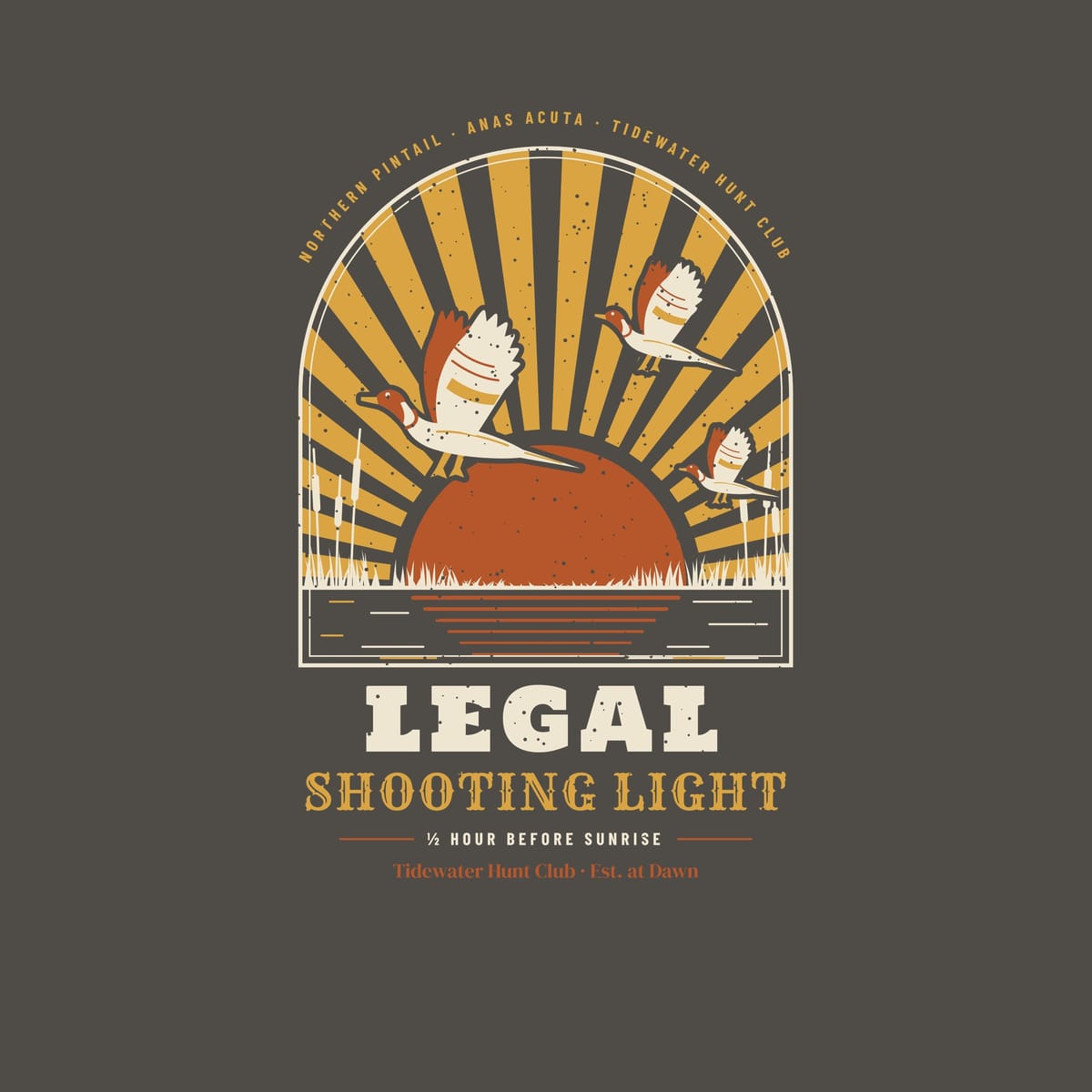 Close-up of the Legal Shooting Light back print showing the ink colors and vintage speckle texture
