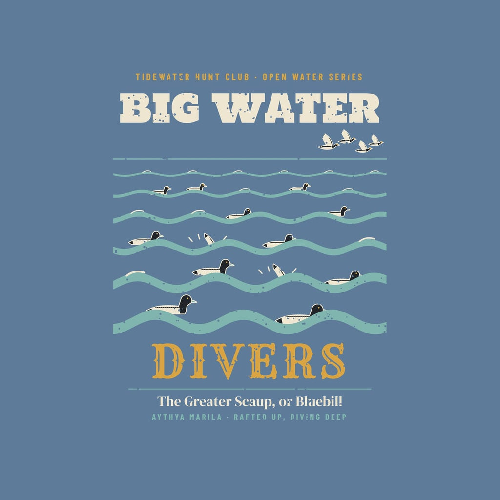 Close-up of the back artwork: black-headed scaup with pale blue bills riding sea-green swells under cream lettering