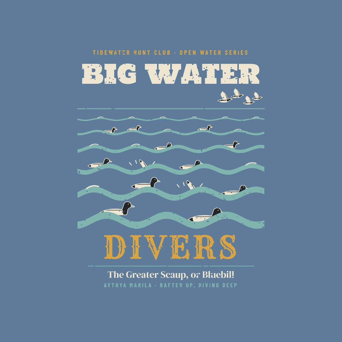 Close-up of the back artwork: black-headed scaup with pale blue bills riding sea-green swells under cream lettering