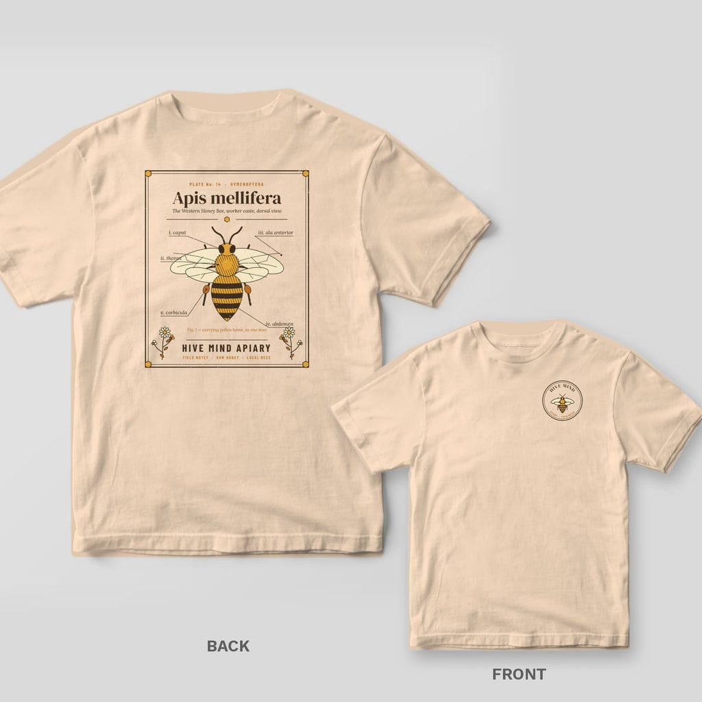 Back and front of a ivory Comfort Colors T-shirt; the back shows an engraved honey bee specimen plate with Latin part labels, the front has a small left-chest print.