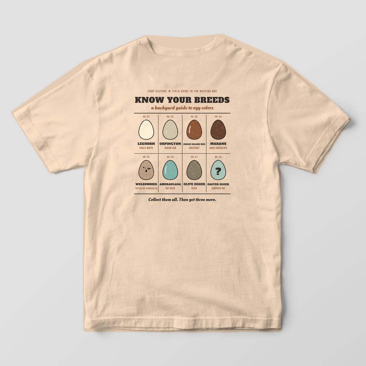Back of an ivory Comfort Colors 1717 tee with a field guide chart of eight chicken egg colors, from white to brown, blue and olive.