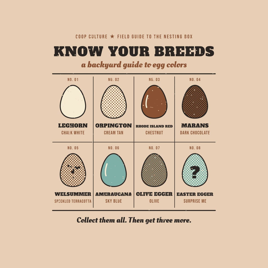 Close-up of the Know Your Breeds artwork showing the halftone egg shades, breed names and distressed print texture.