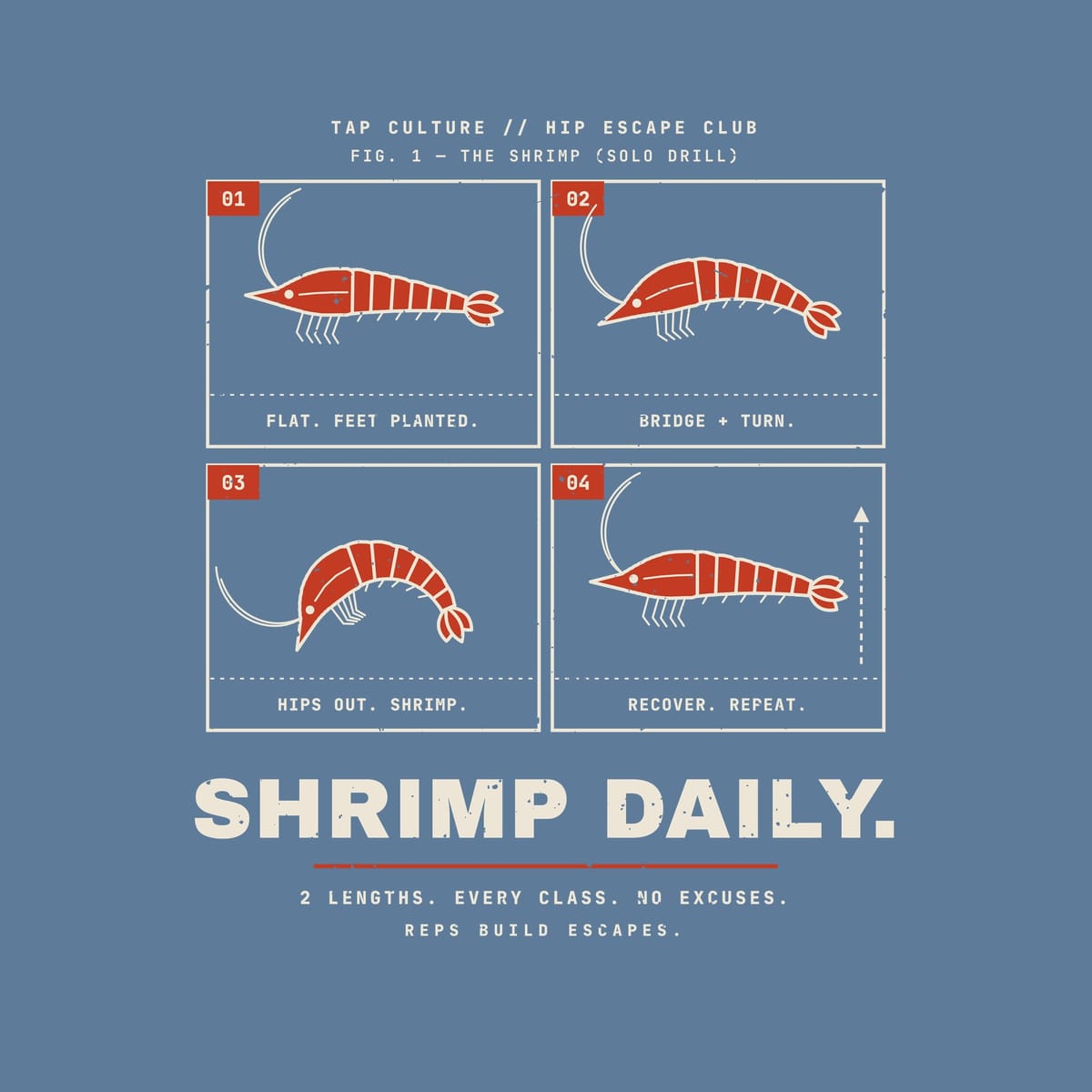 Close-up of the drill card print: numbered red tabs, shrimp line art and SHRIMP DAILY lettering.
