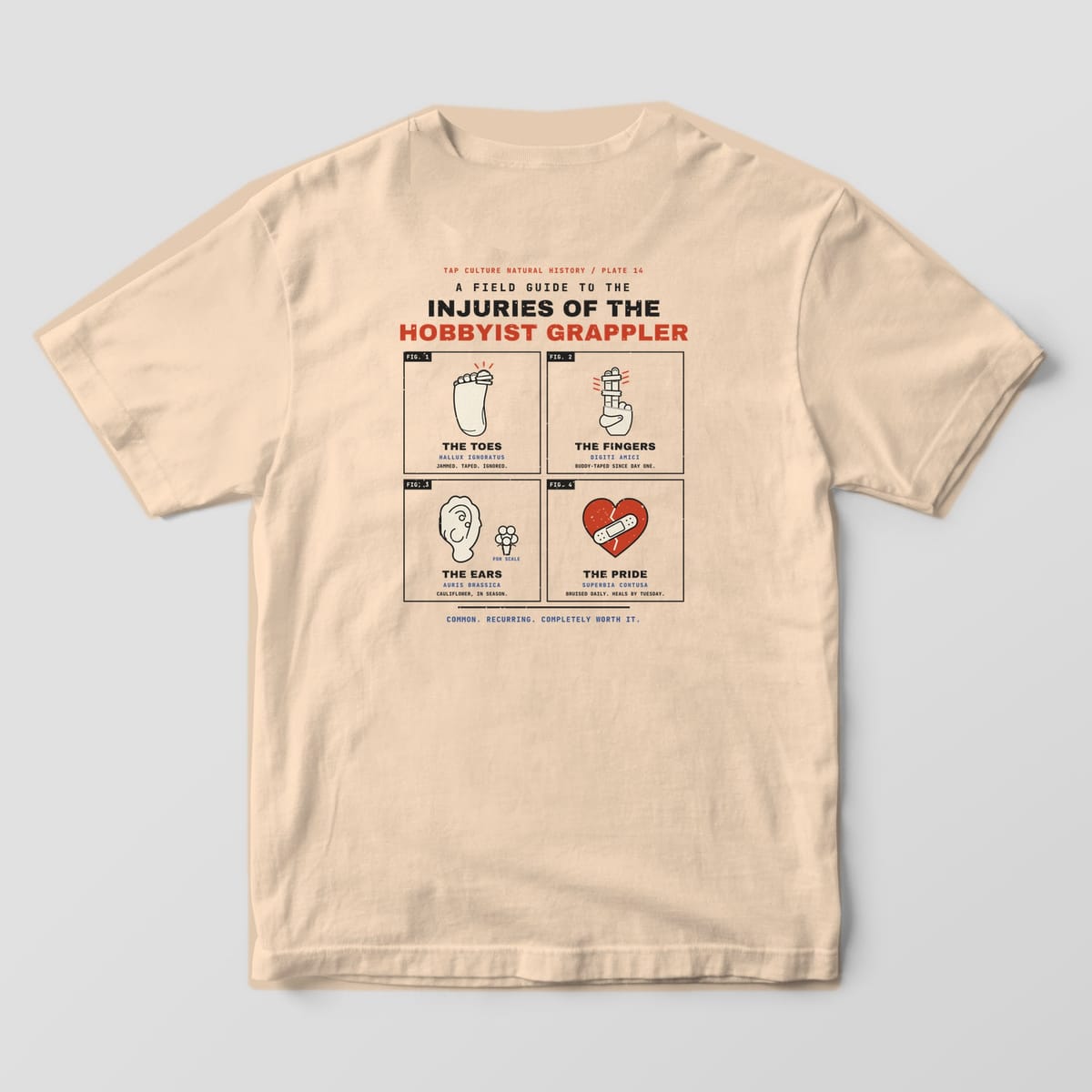 Back of an ivory Comfort Colors 1717 tee with four framed drawings: a taped toe, taped fingers, a cauliflower ear and a bandaged heart.