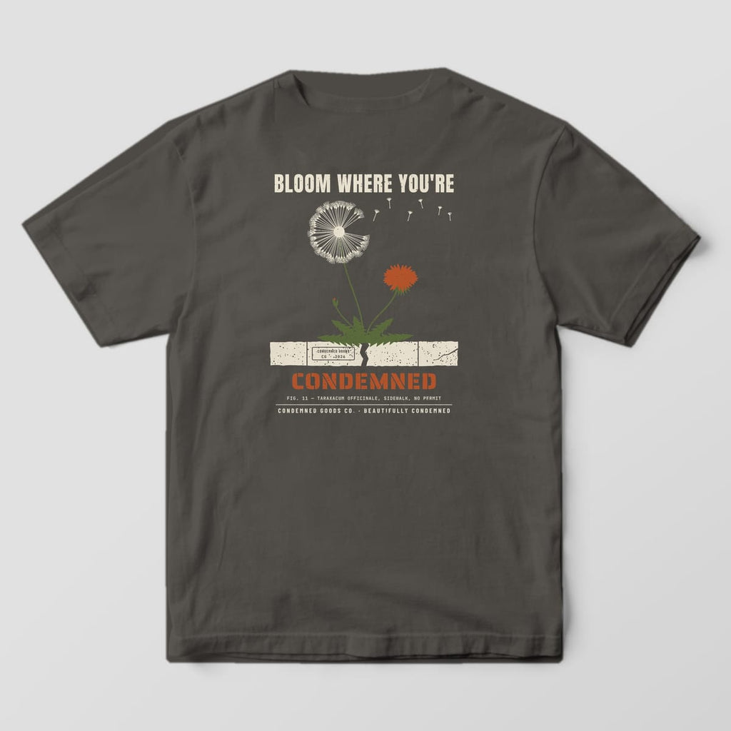 Back of a pepper Comfort Colors 1717 tee with a dandelion growing from a cracked sidewalk slab and the words Bloom Where You're Condemned.