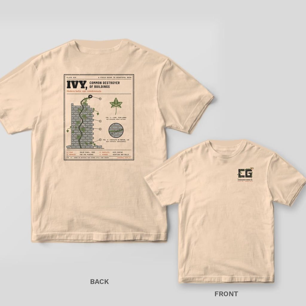 Ivory tee shown back and front: back has a vintage botanical plate of ivy climbing a crumbling brick pier titled Ivy, Common Destroyer of Buildings; front has a small concrete CG monogram wrapped in ivy.