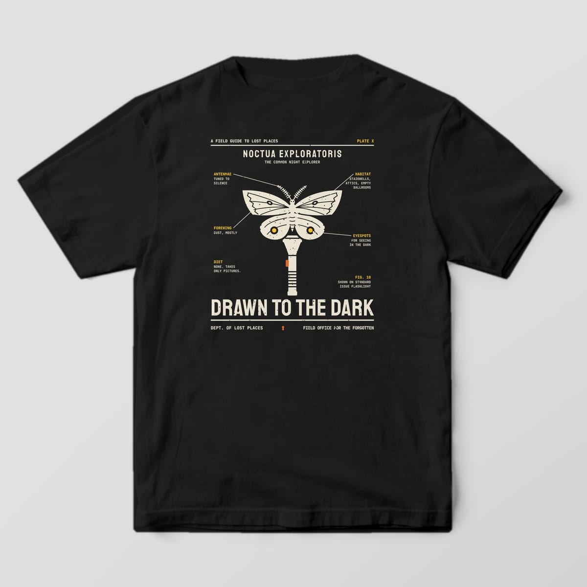 Back of a Black Comfort Colors 1717 tee printed with a cream field-guide illustration of a moth with yellow eyespots perched on an upright flashlight, with labeled notes and the title Drawn to the Dark.