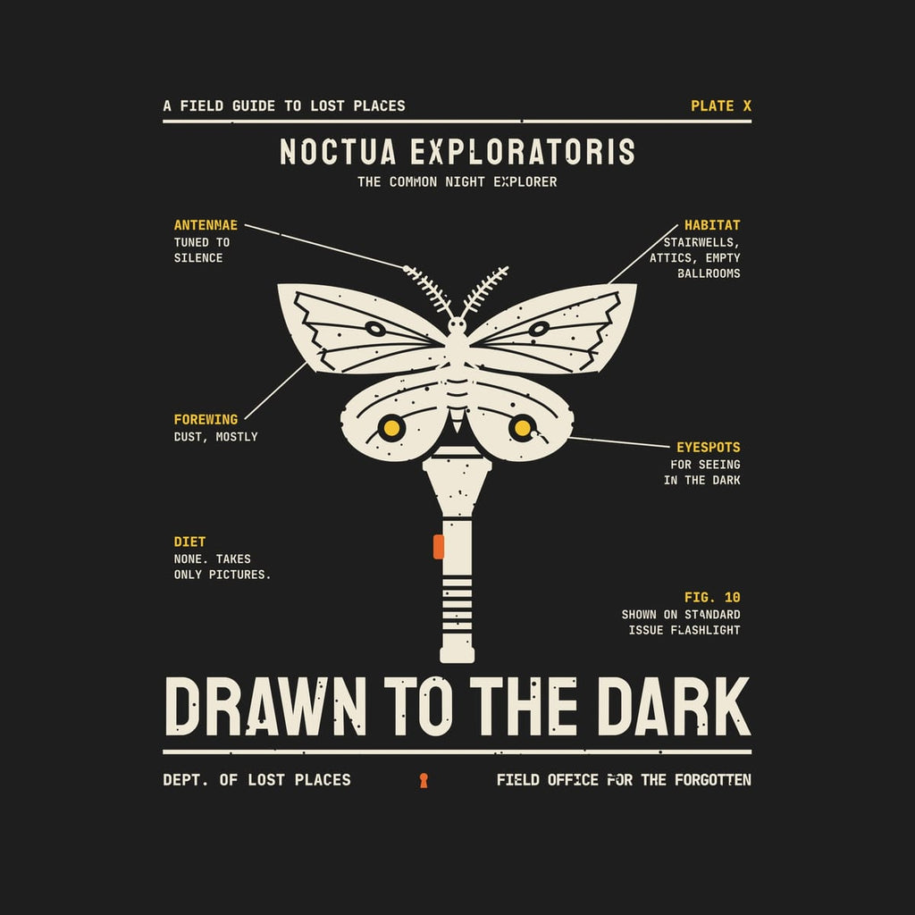 Back print artwork close-up: a cream field-guide illustration of a moth with yellow eyespots perched on an upright flashlight, with labeled notes and the title Drawn to the Dark, lightly speckled.