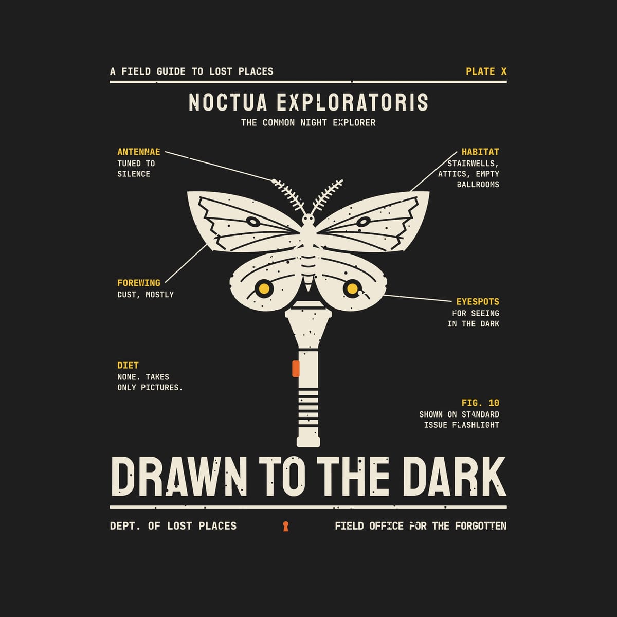 Back print artwork close-up: a cream field-guide illustration of a moth with yellow eyespots perched on an upright flashlight, with labeled notes and the title Drawn to the Dark, lightly speckled.