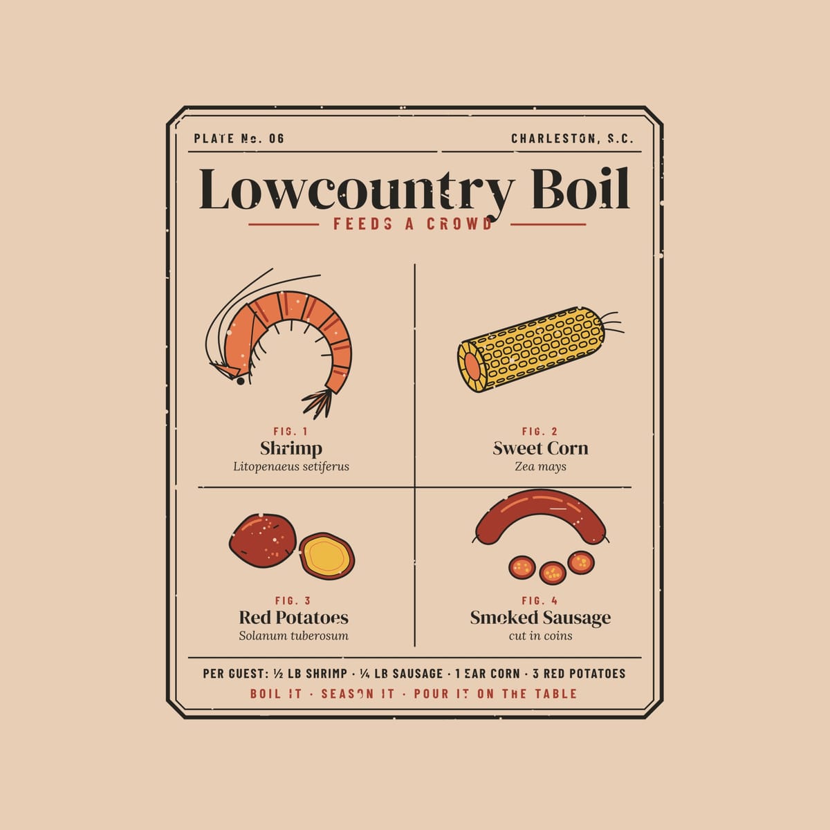 Close-up of the Lowcountry Boil print: figure labels with Latin names, a corn cob with kernel rows, a halved red potato and sausage coins.