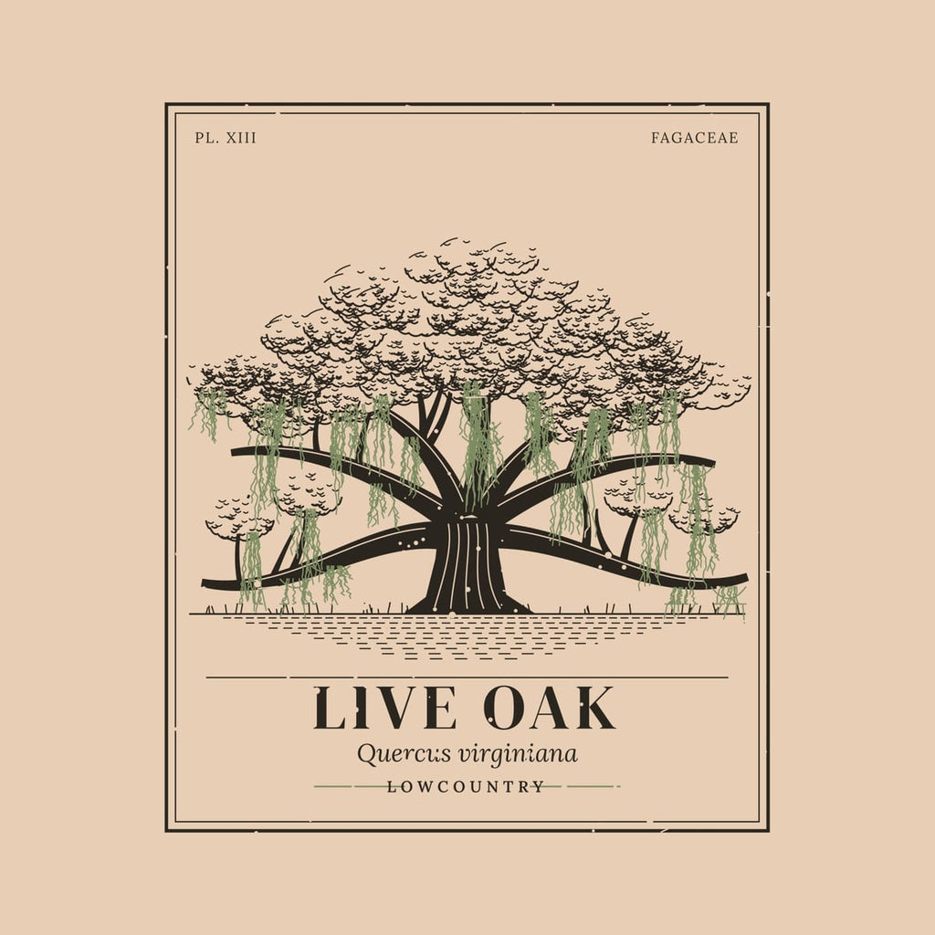 Close-up of the back print: engraved leaf texture, sweeping limbs and sage green Spanish moss inside a fine plate border.