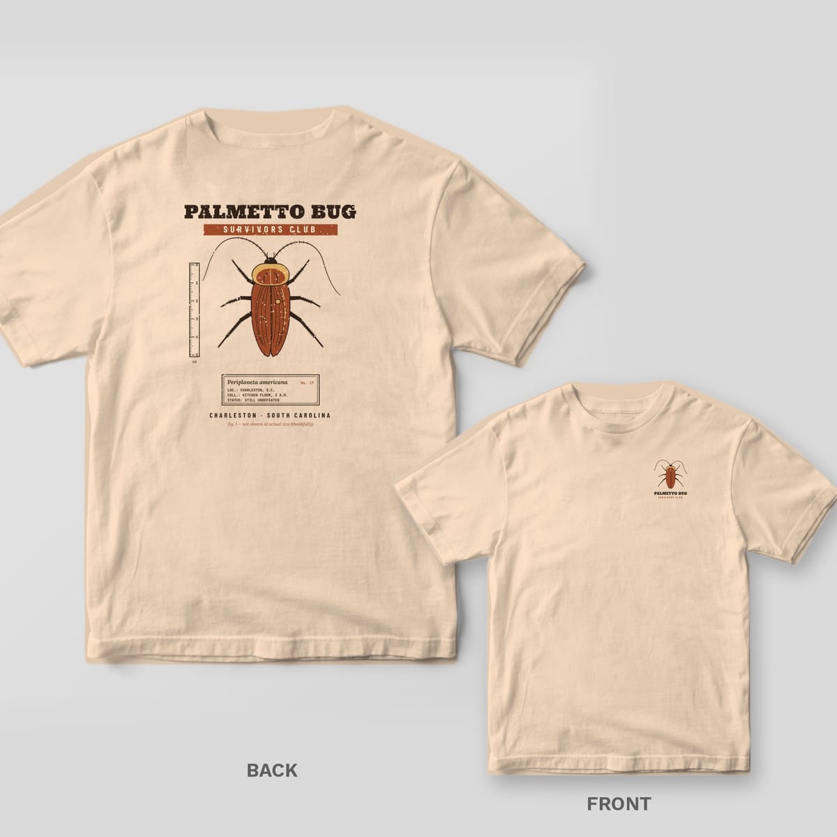 Ivory Comfort Colors tee shown back and front: a vintage palmetto bug specimen plate on the back and a small bug drawing on the chest.
