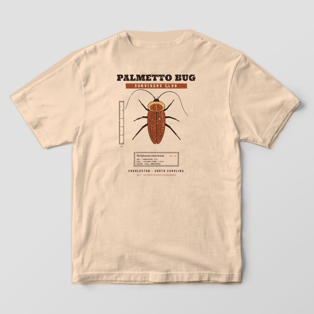 Back of a Ivory Comfort Colors 1717 tee with a brown and rust palmetto bug specimen drawing, ruler and label under the words Palmetto Bug Survivors Club.