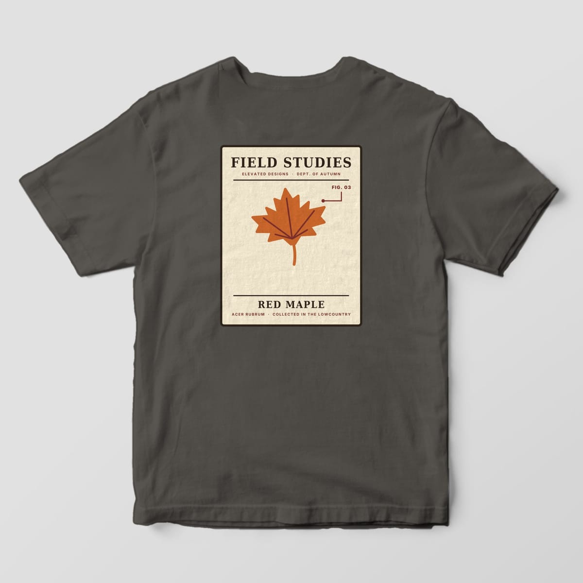 Back of a Pepper Comfort Colors 1717 tee with a cream specimen card reading FIELD STUDIES and RED MAPLE with a rust maple leaf, a FIG. 03 callout and ACER RUBRUM · COLLECTED IN THE LOWCOUNTRY.