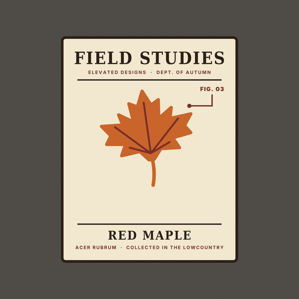 Close-up of the Field Studies Fig. 03 print: a rust maple leaf with maroon veins, a FIG. 03 pointer line and dark serif lettering on a cream card.